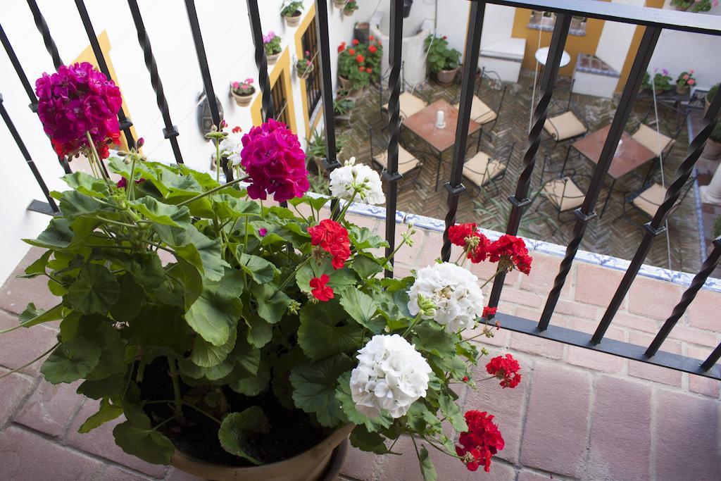 Casa Imperial 4* Sevilla